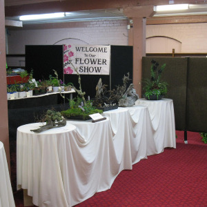 The Dunedin Horticultural Society Autumn Show