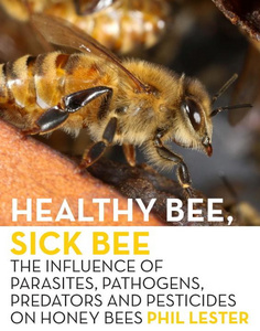 Healthy Bee, Sick Bee. 