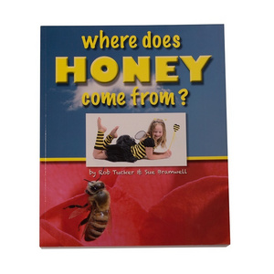 Where Does Honey Come From?