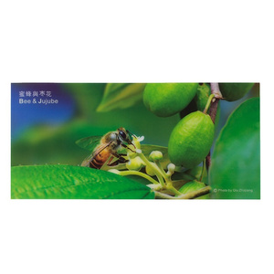 3D Bee Picture - Jujube (Feijoa)