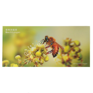 3D Bee Picture - Longan