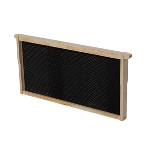 Full Depth Wooden Frames with Plastic Foundation