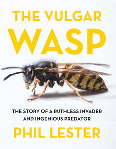 The Vulgar Wasp